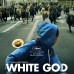 White God: Holocausto canino
